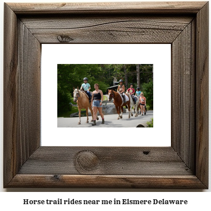 horse trail rides near me in Elsmere, Delaware